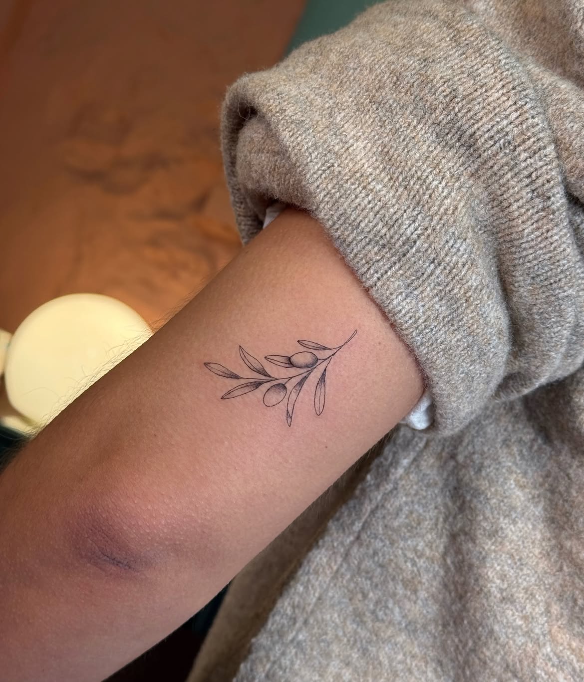 31 Olive Branch Tattoo Ideas 2026: Fine Line, Dainty and Meaningful Designs
