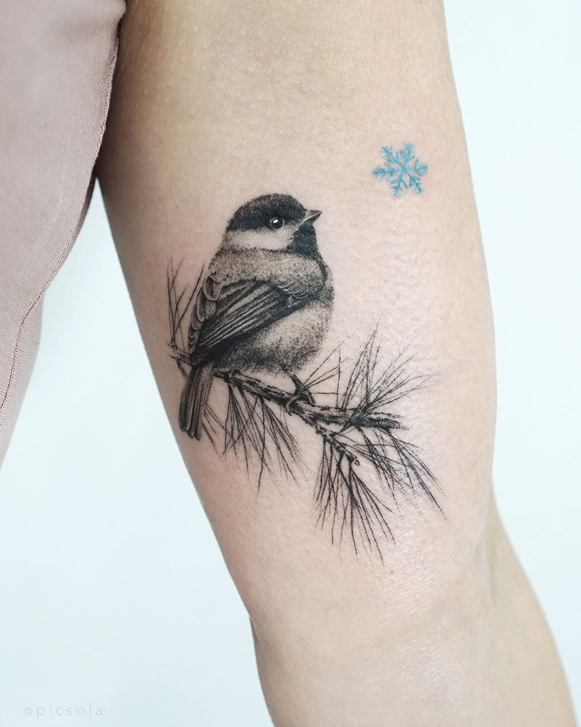 29 Bird Tattoo Ideas 2026: Beautiful Designs, Meaningful Symbols and Modern Inspiration