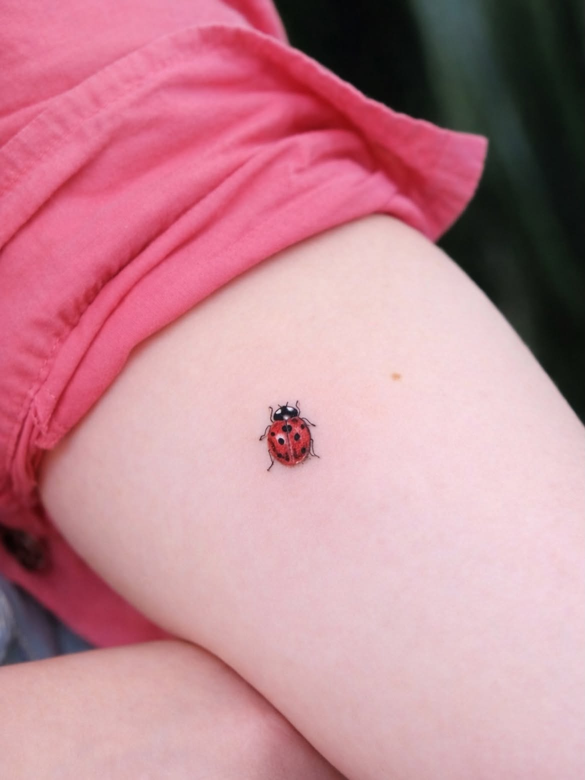30 Ladybug Tattoo Ideas 2026: Tiny, Realistic and Creative Designs