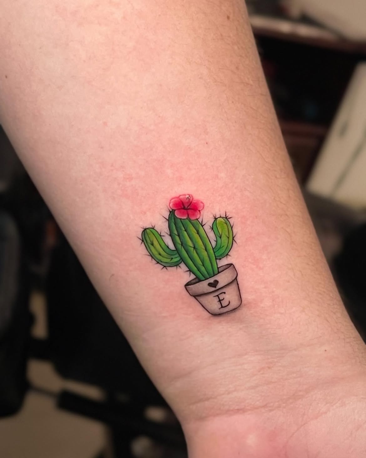 27 Cactus Tattoo Ideas 2026: Desert-Inspired Designs from Fine Line to Color
