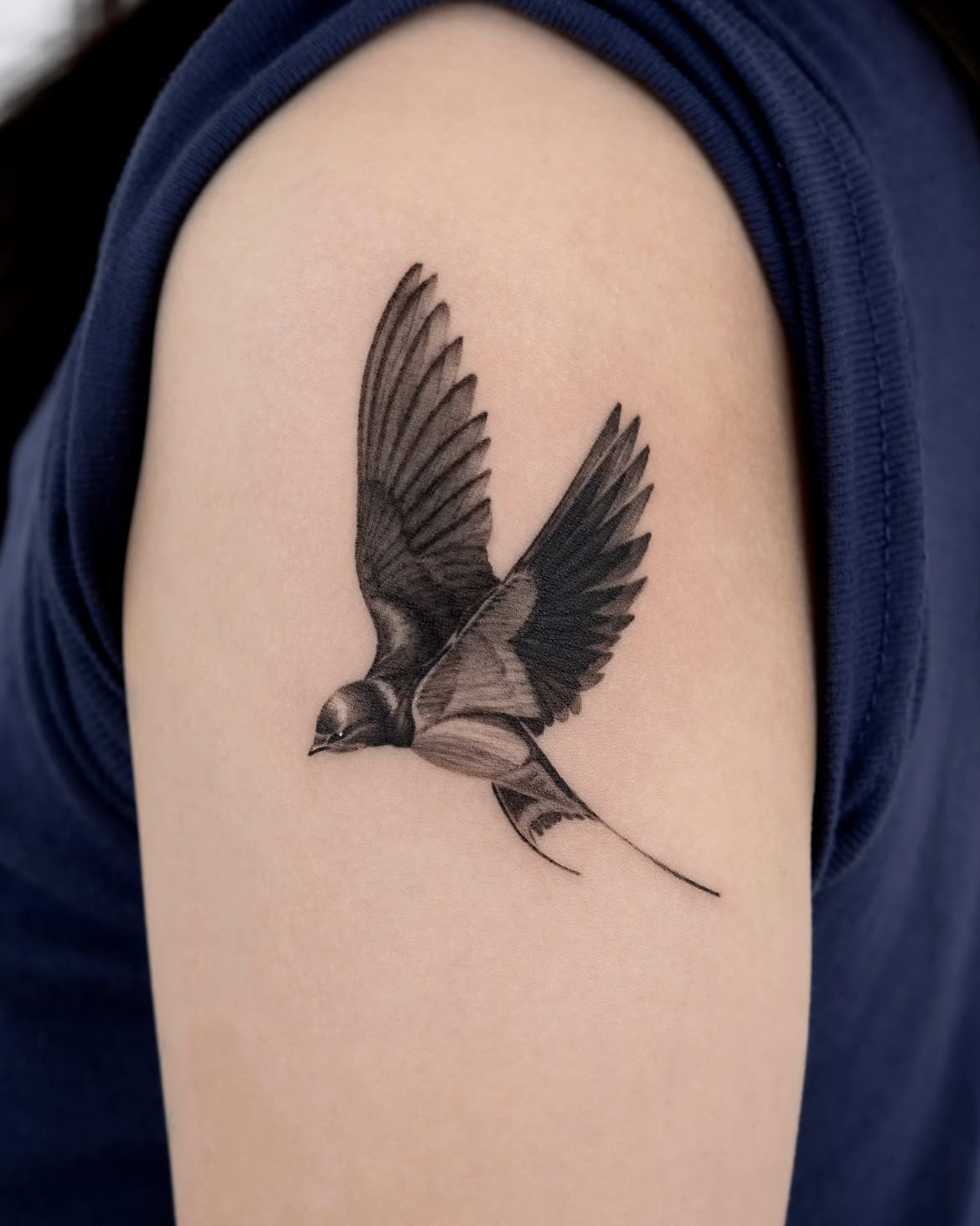 28 Swallow Tattoo Ideas 2026: Elegant Designs, Symbolism and Placement Inspiration