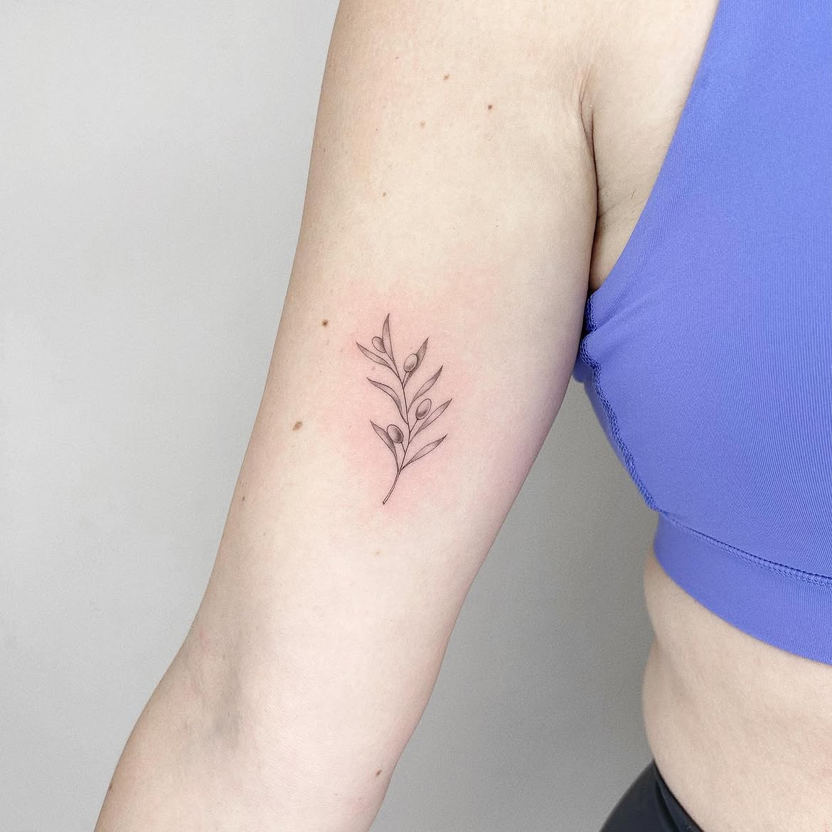 31 Olive Branch Tattoo Ideas 2026: Fine Line, Dainty and Meaningful Designs