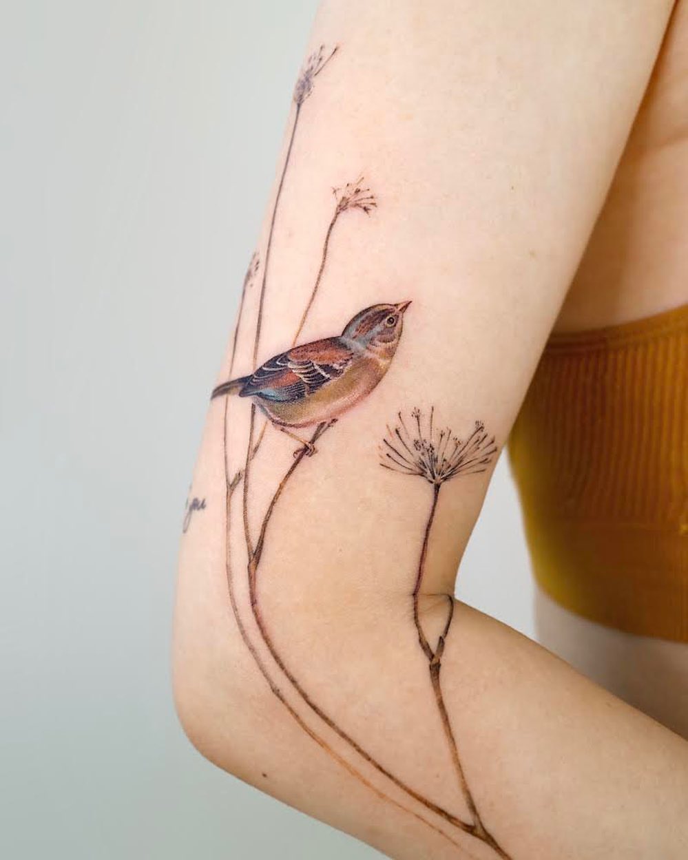 29 Bird Tattoo Ideas 2026: Beautiful Designs, Meaningful Symbols and Modern Inspiration