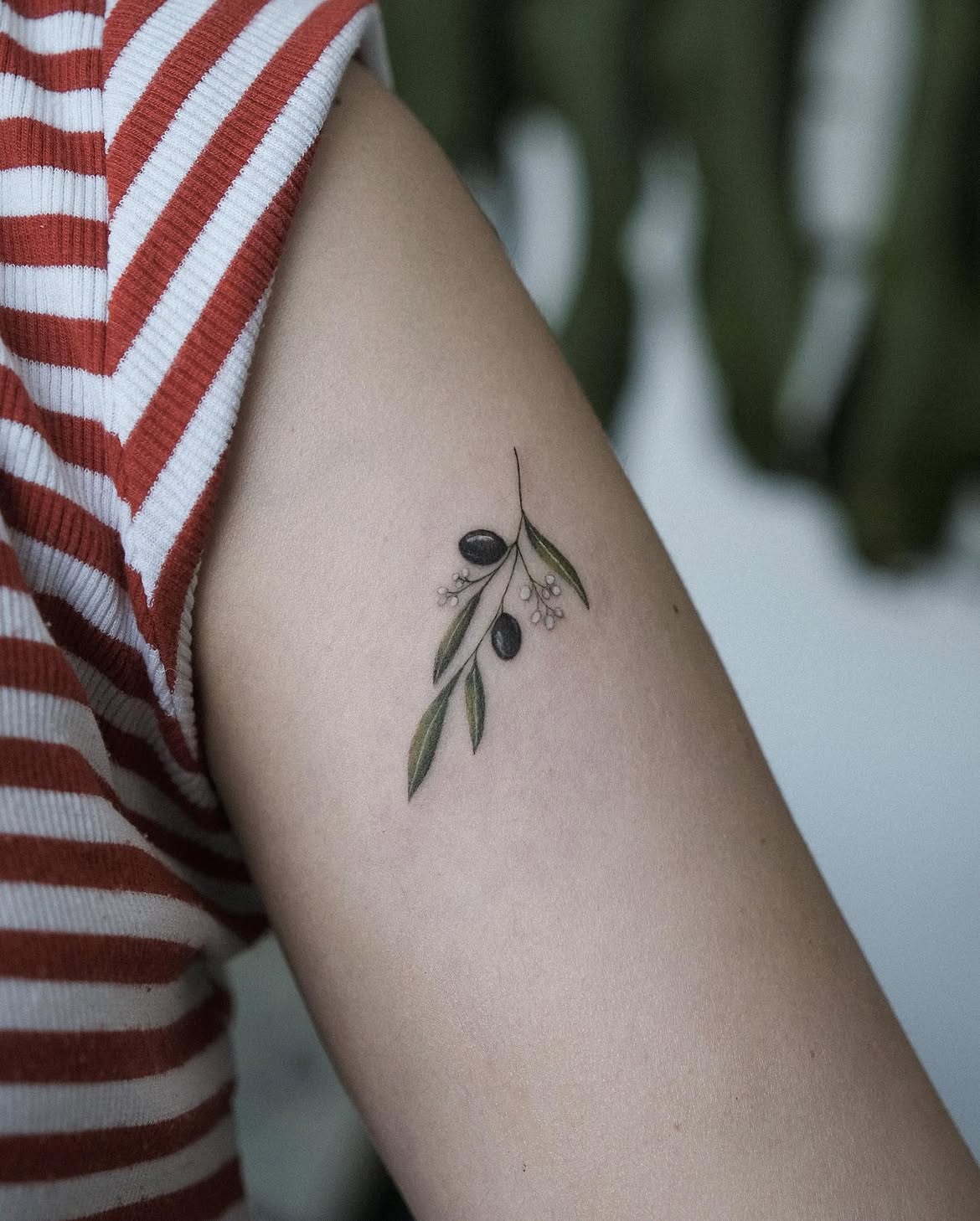31 Olive Branch Tattoo Ideas 2026: Fine Line, Dainty and Meaningful Designs