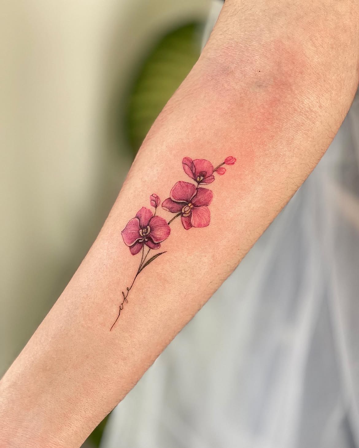 28 Elegant Orchid Tattoo Ideas 2026: Fine Line, Color, Minimalist & Floral Designs
