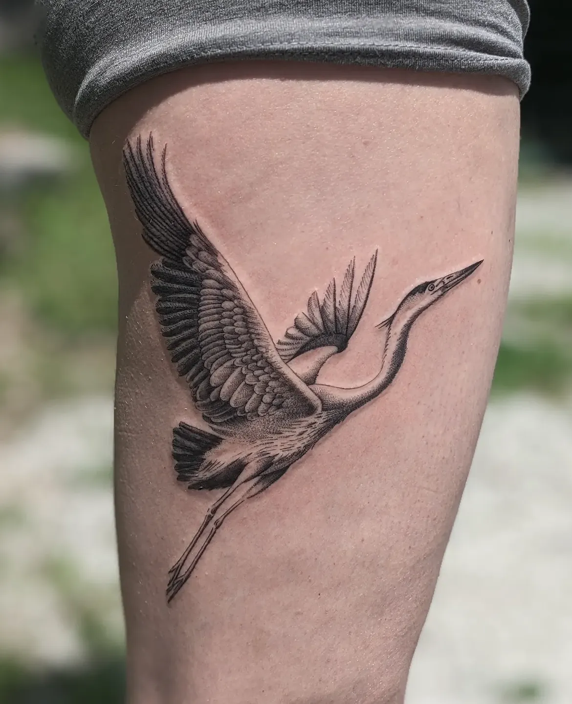 29 Bird Tattoo Ideas 2026: Beautiful Designs, Meaningful Symbols and Modern Inspiration