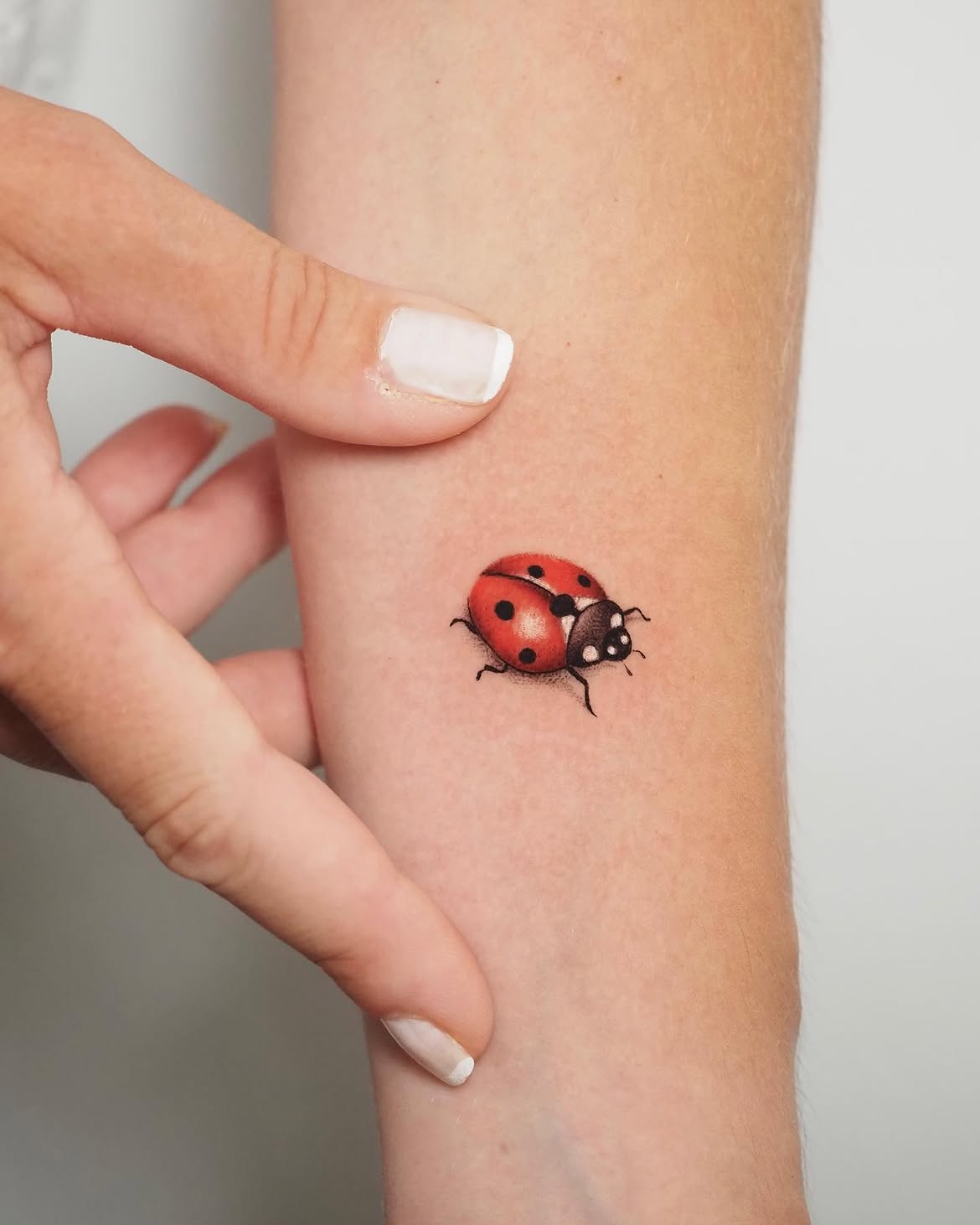 30 Ladybug Tattoo Ideas 2026: Tiny, Realistic and Creative Designs
