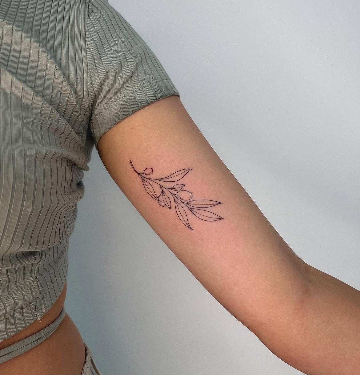 31 Olive Branch Tattoo Ideas 2026: Fine Line, Dainty and Meaningful Designs