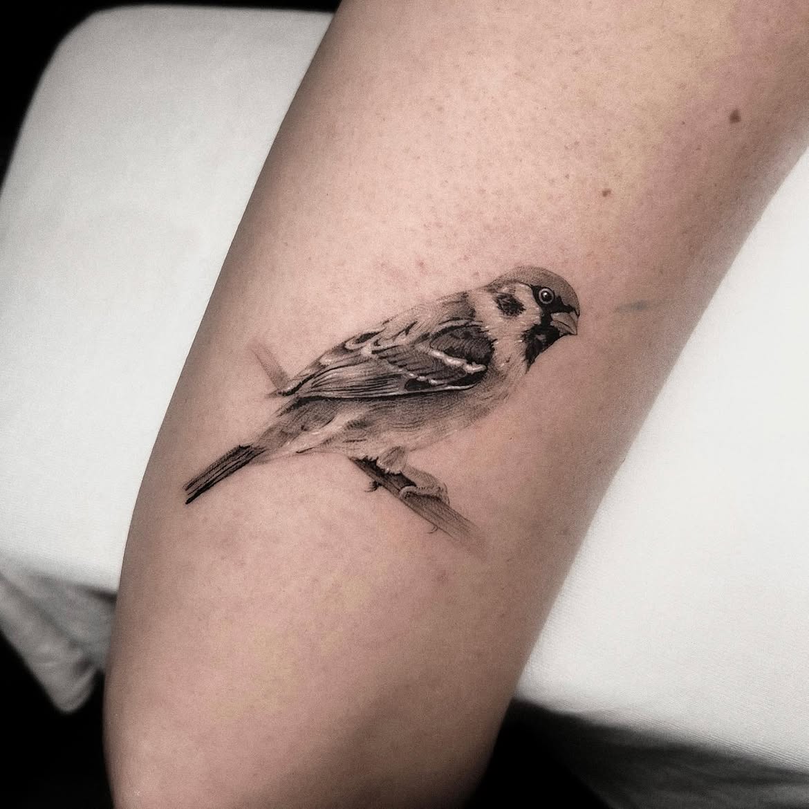29 Bird Tattoo Ideas 2026: Beautiful Designs, Meaningful Symbols and Modern Inspiration