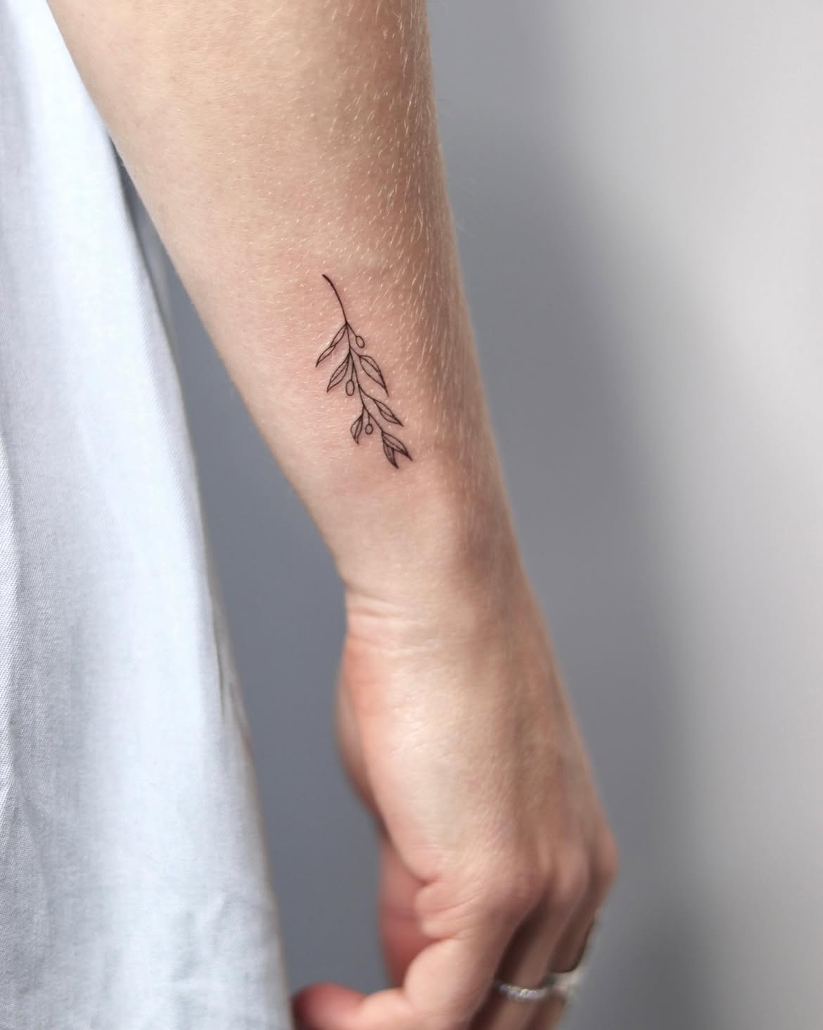 31 Olive Branch Tattoo Ideas 2026: Fine Line, Dainty and Meaningful Designs