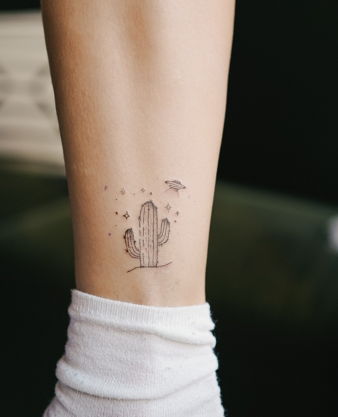 27 Cactus Tattoo Ideas 2026: Desert-Inspired Designs from Fine Line to Color