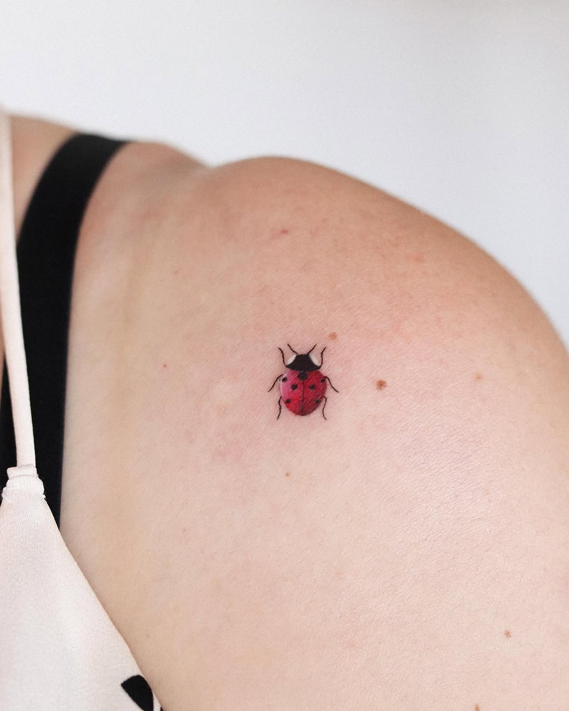 30 Ladybug Tattoo Ideas 2026: Tiny, Realistic and Creative Designs