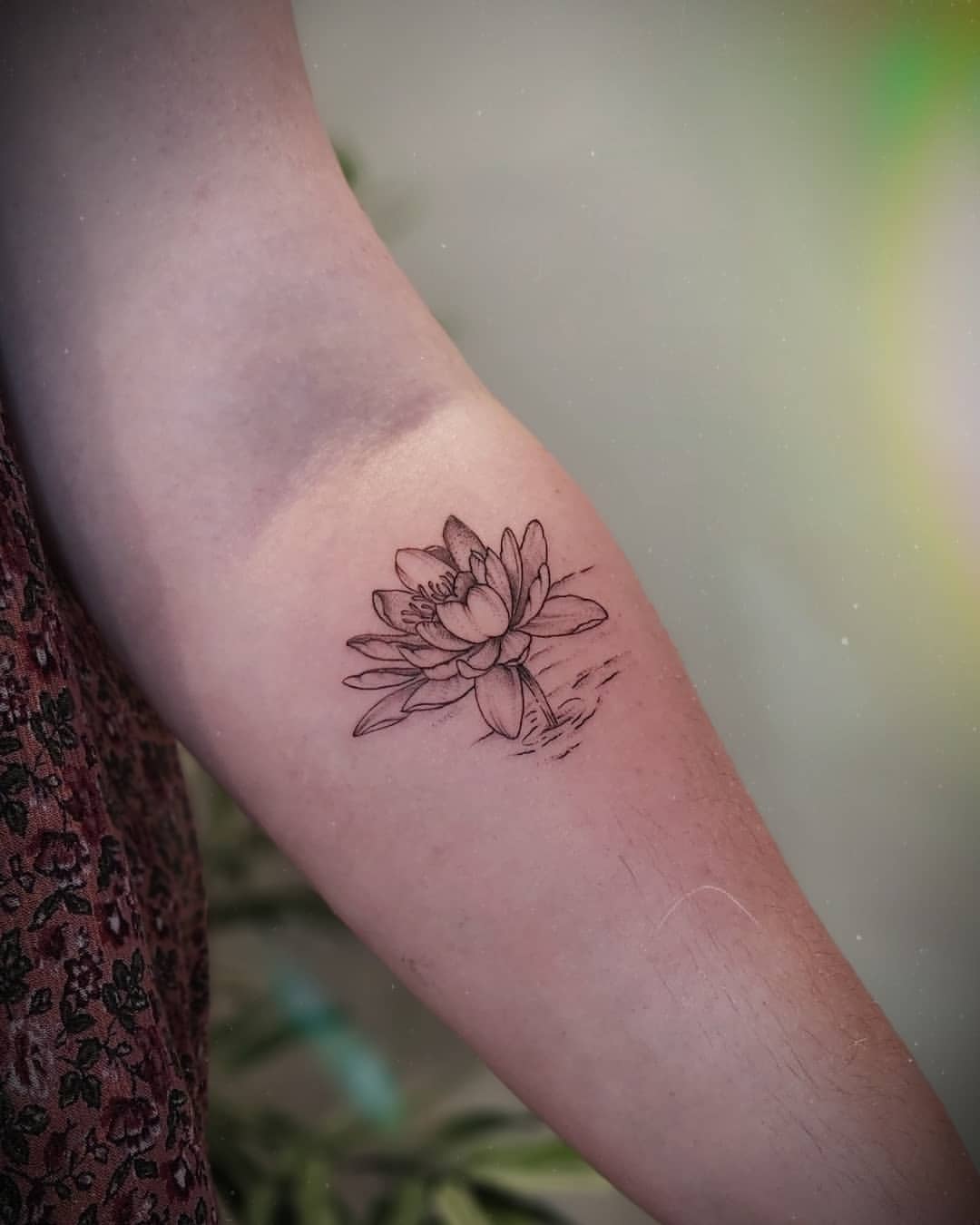 28 Water Lily Tattoo Ideas 2026: Beautiful Fine Line, Color and Japanese Designs