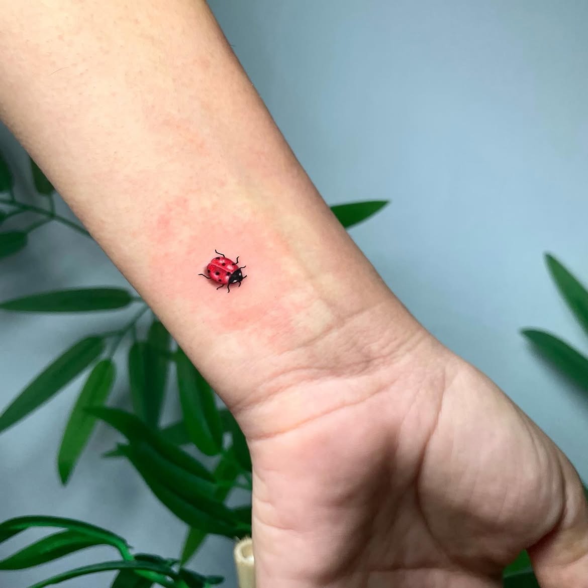 30 Ladybug Tattoo Ideas 2026: Tiny, Realistic and Creative Designs