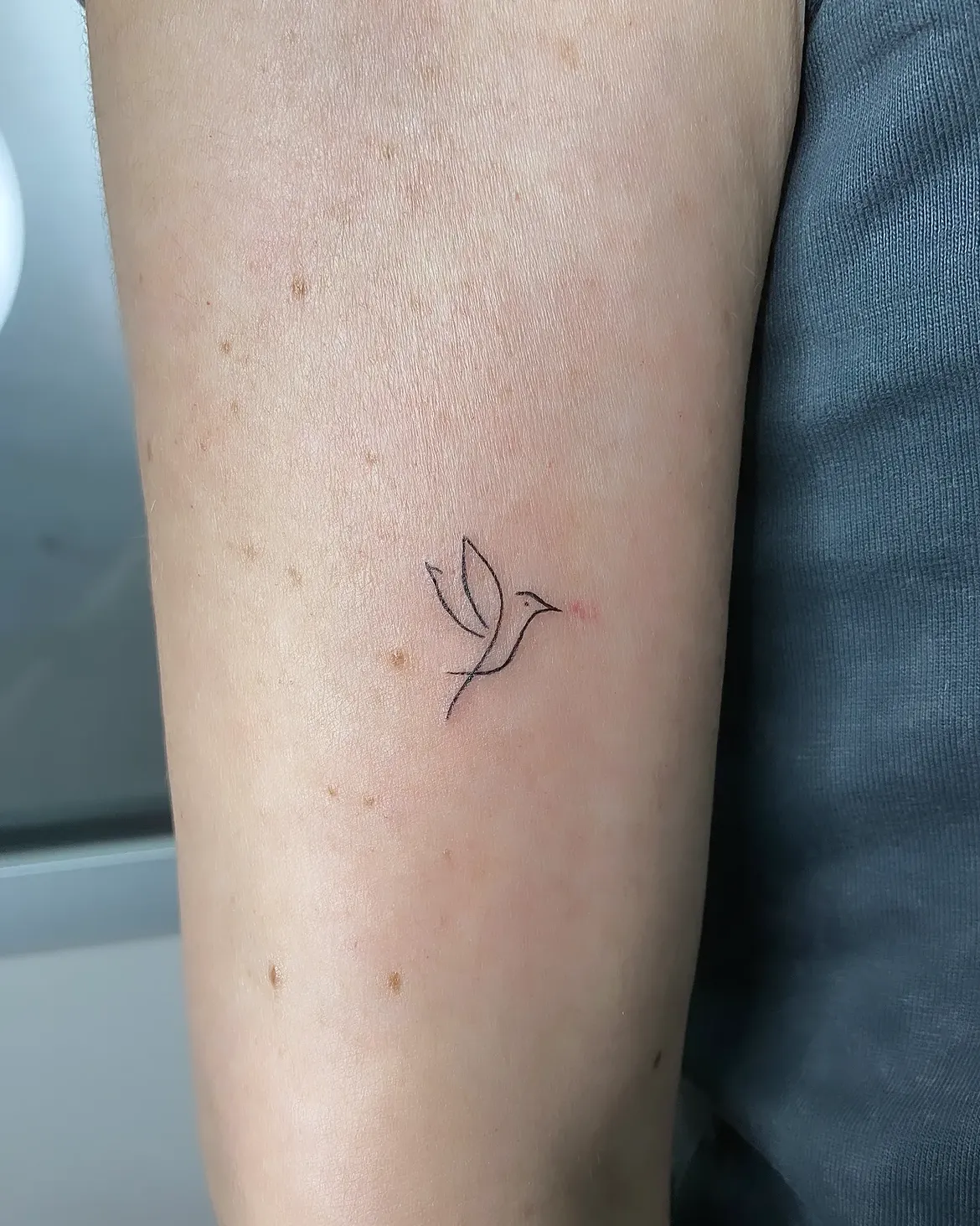 29 Bird Tattoo Ideas 2026: Beautiful Designs, Meaningful Symbols and Modern Inspiration