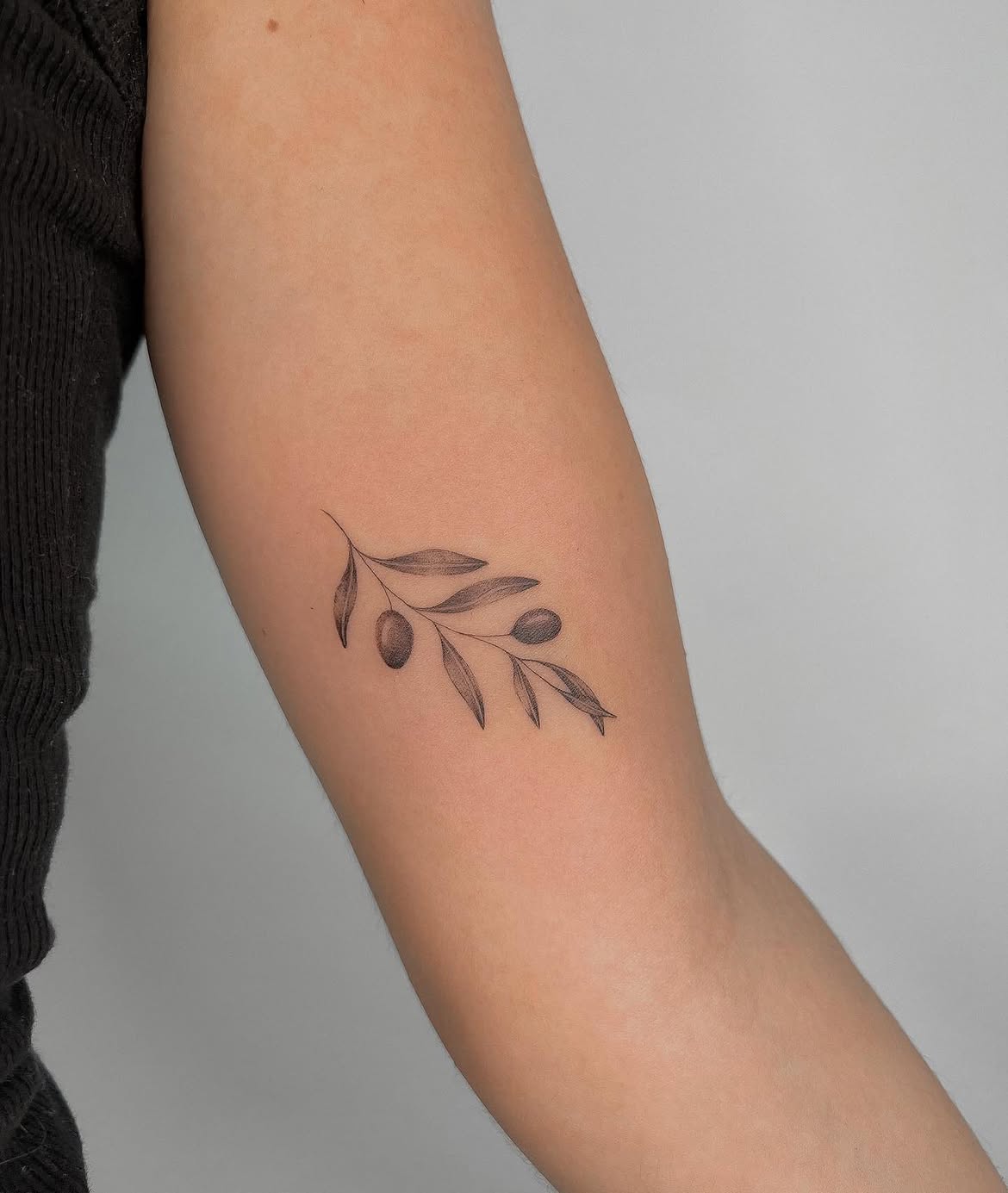 31 Olive Branch Tattoo Ideas 2026: Fine Line, Dainty and Meaningful Designs