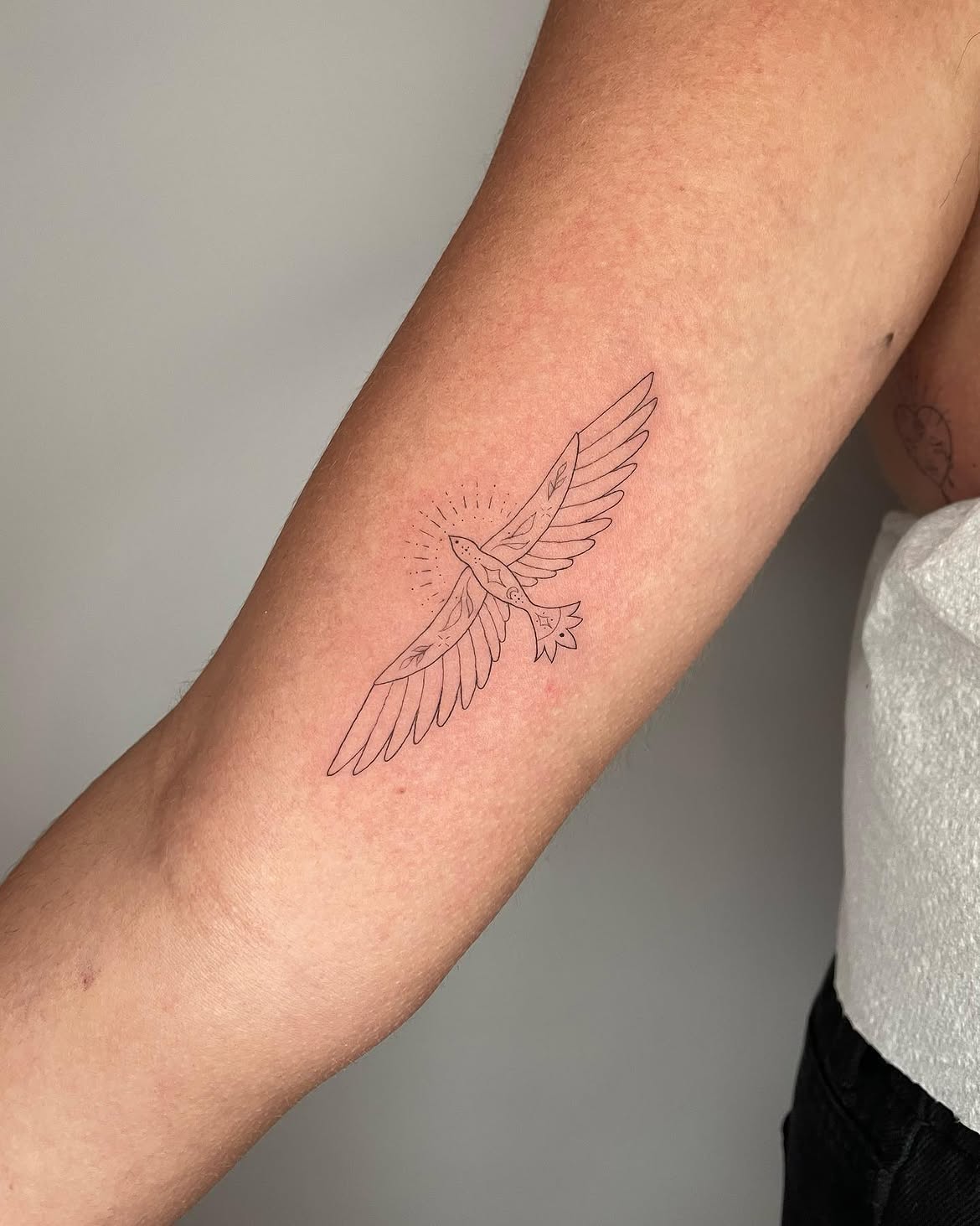 29 Bird Tattoo Ideas 2026: Beautiful Designs, Meaningful Symbols and Modern Inspiration
