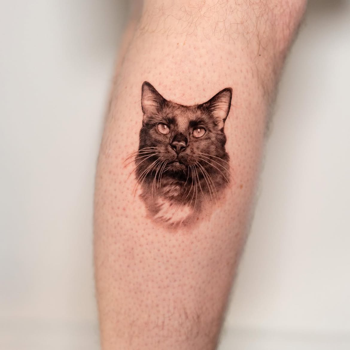 27 Black Cat Tattoo Ideas 2026: Playful, Minimalist and Mysterious Designs
