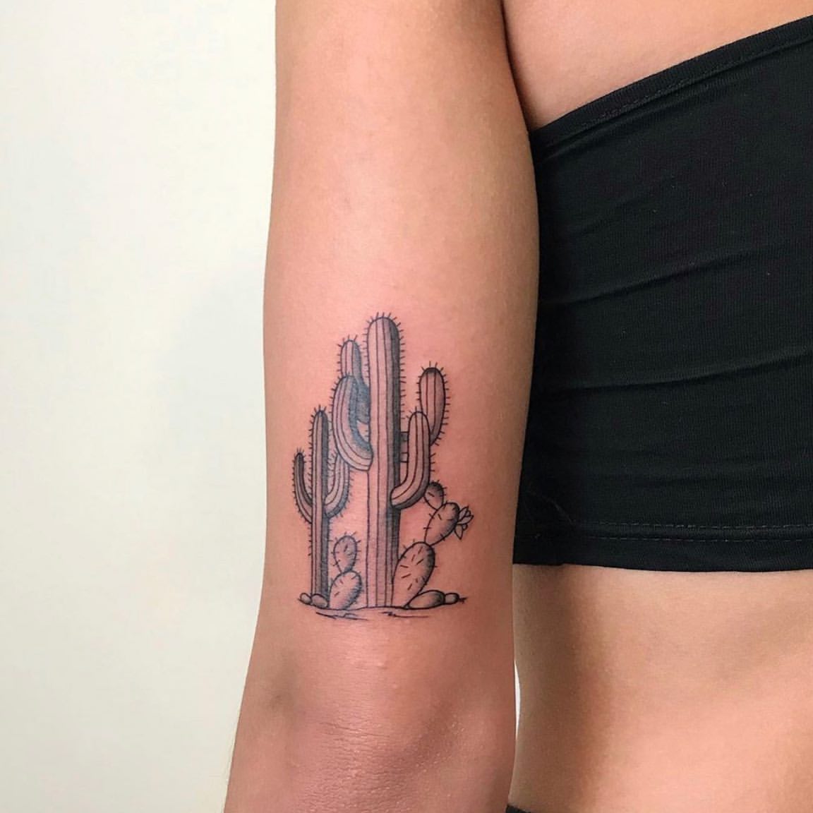 27 Cactus Tattoo Ideas 2026: Desert-Inspired Designs from Fine Line to Color