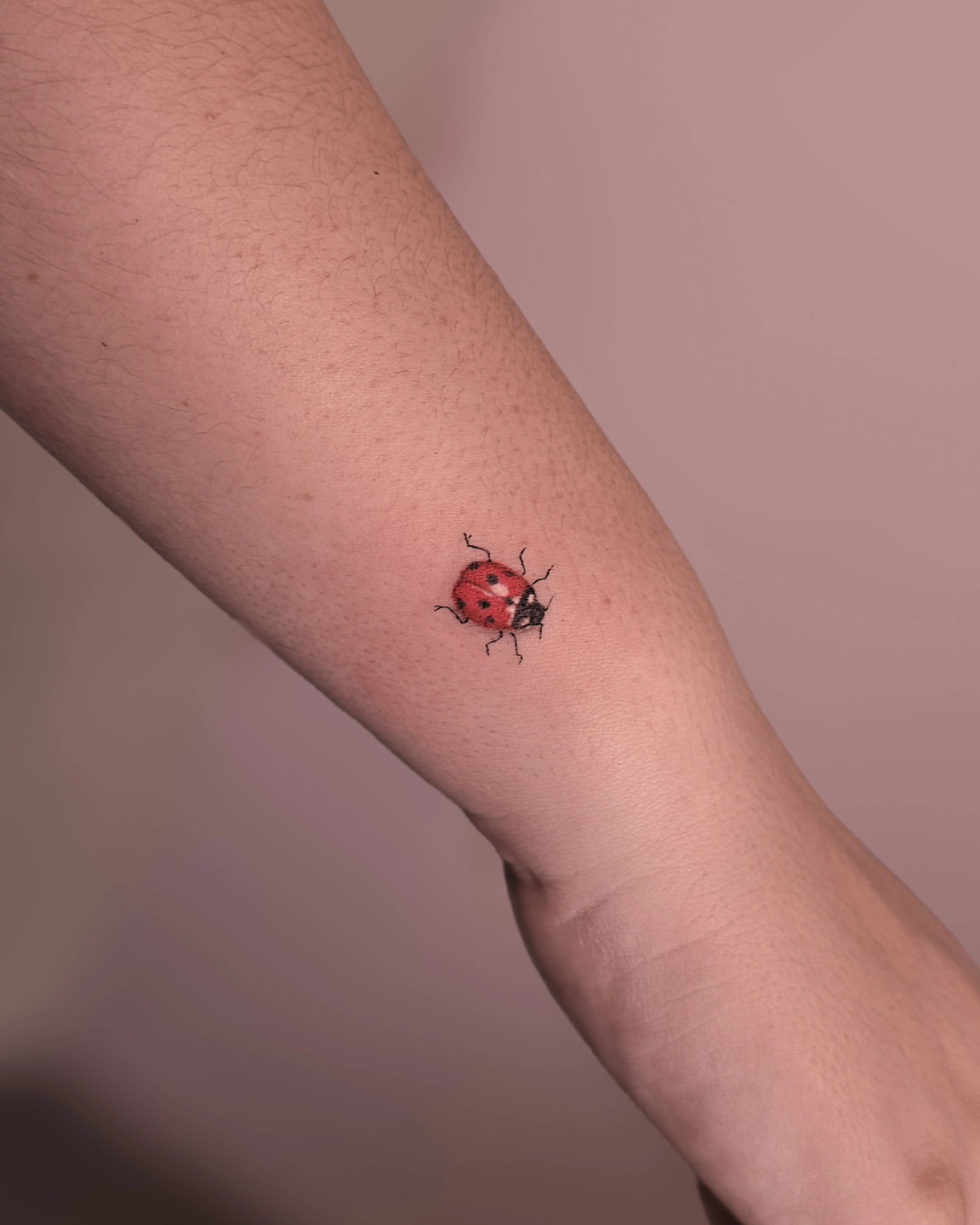 30 Ladybug Tattoo Ideas 2026: Tiny, Realistic and Creative Designs