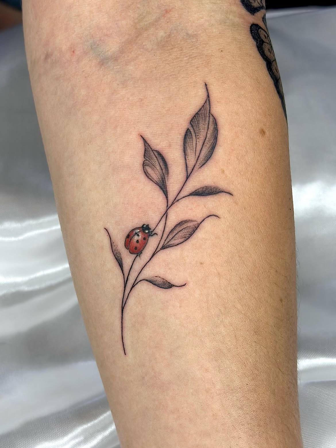 30 Ladybug Tattoo Ideas 2026: Tiny, Realistic and Creative Designs