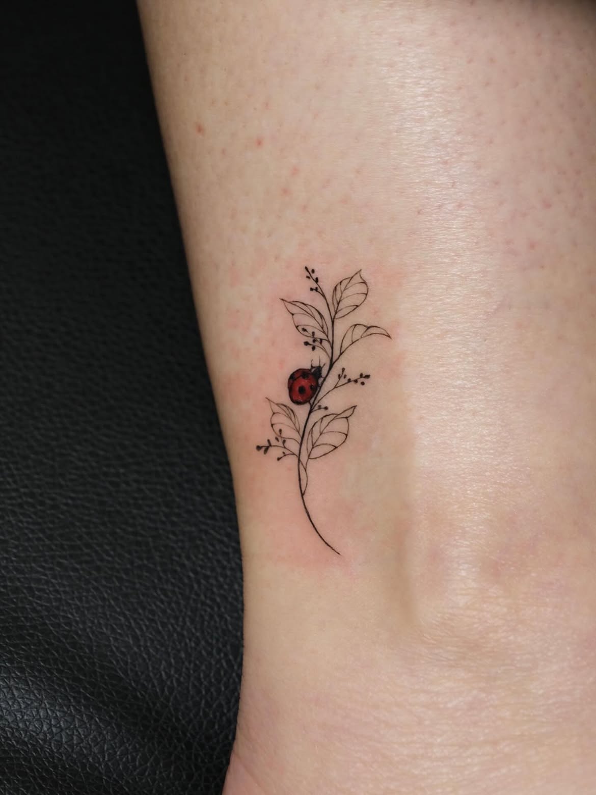 30 Ladybug Tattoo Ideas 2026: Tiny, Realistic and Creative Designs