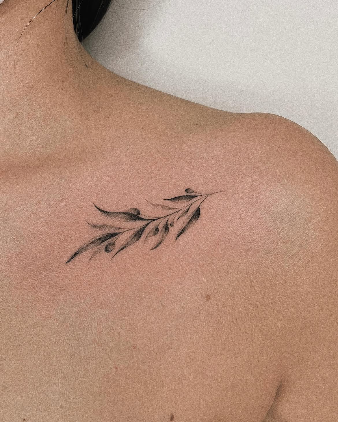 31 Olive Branch Tattoo Ideas 2026: Fine Line, Dainty and Meaningful Designs
