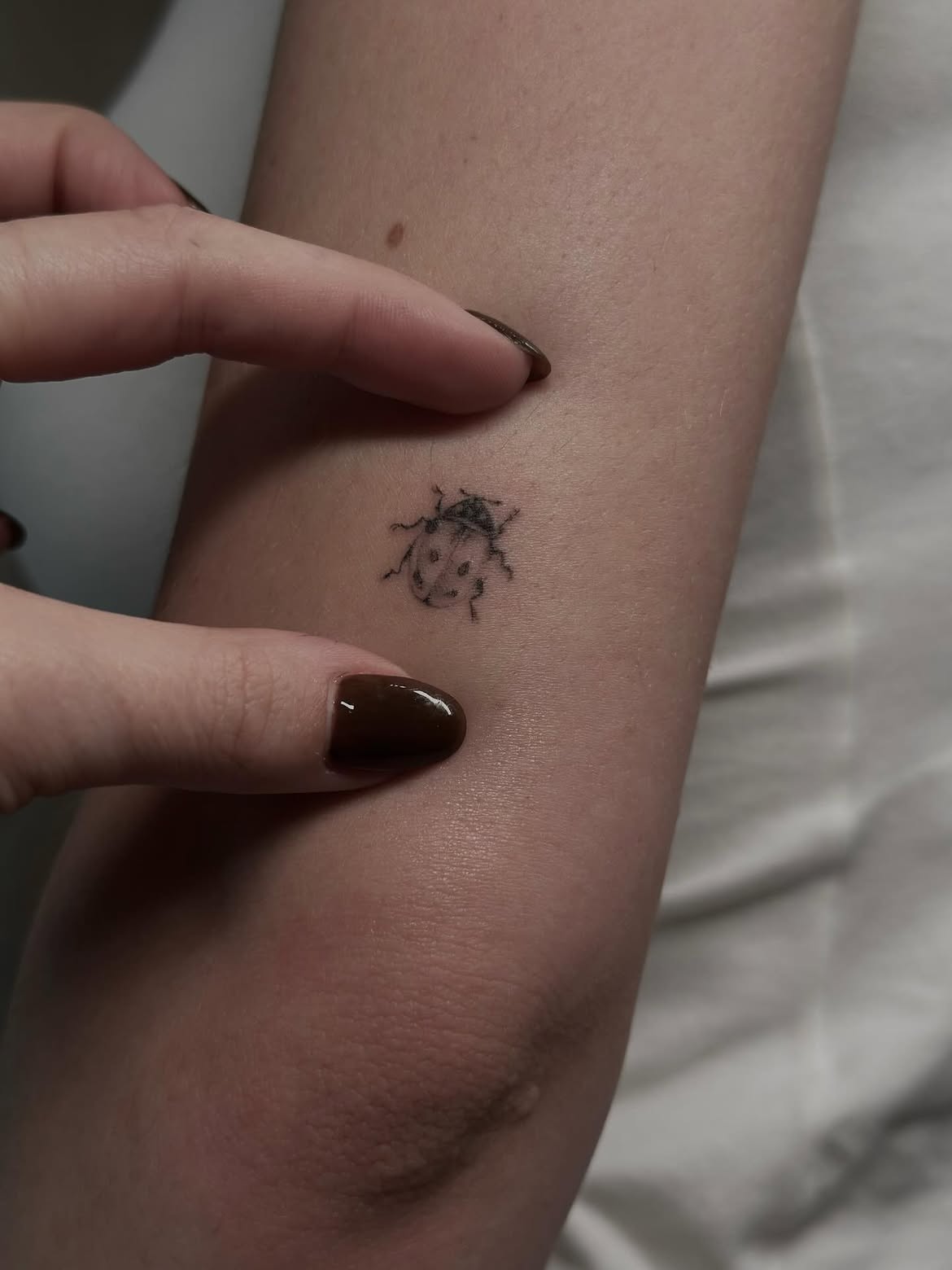 30 Ladybug Tattoo Ideas 2026: Tiny, Realistic and Creative Designs