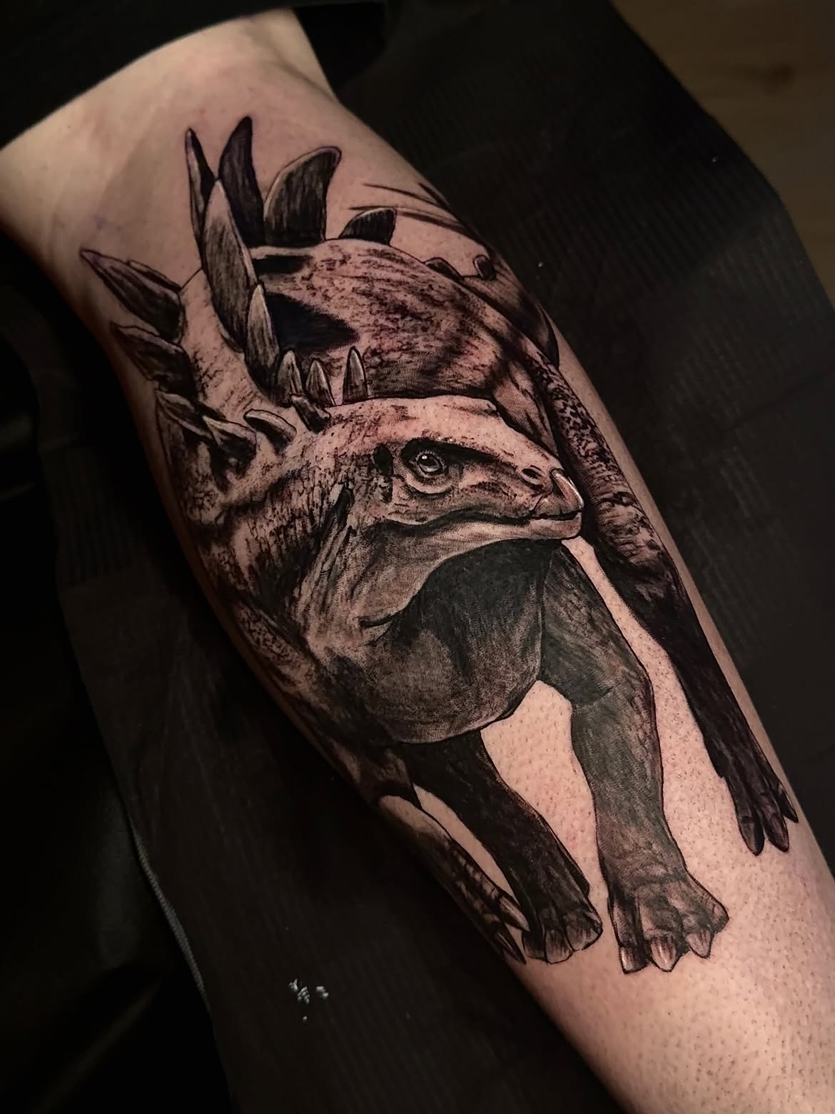 30 Dinosaur Tattoo Ideas: Creative, Cute, Realistic and Unique Prehistoric Designs