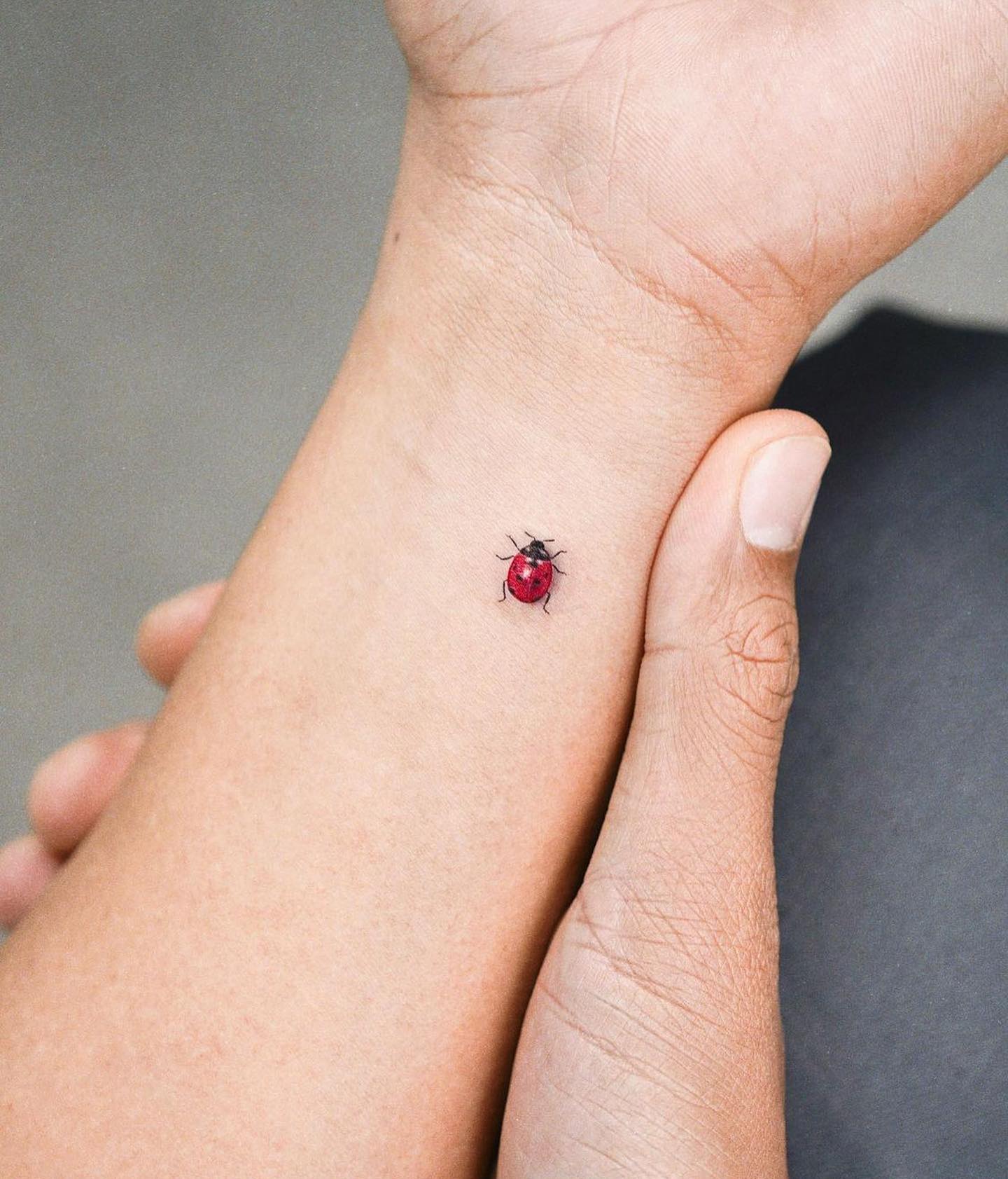 30 Ladybug Tattoo Ideas 2026: Tiny, Realistic and Creative Designs