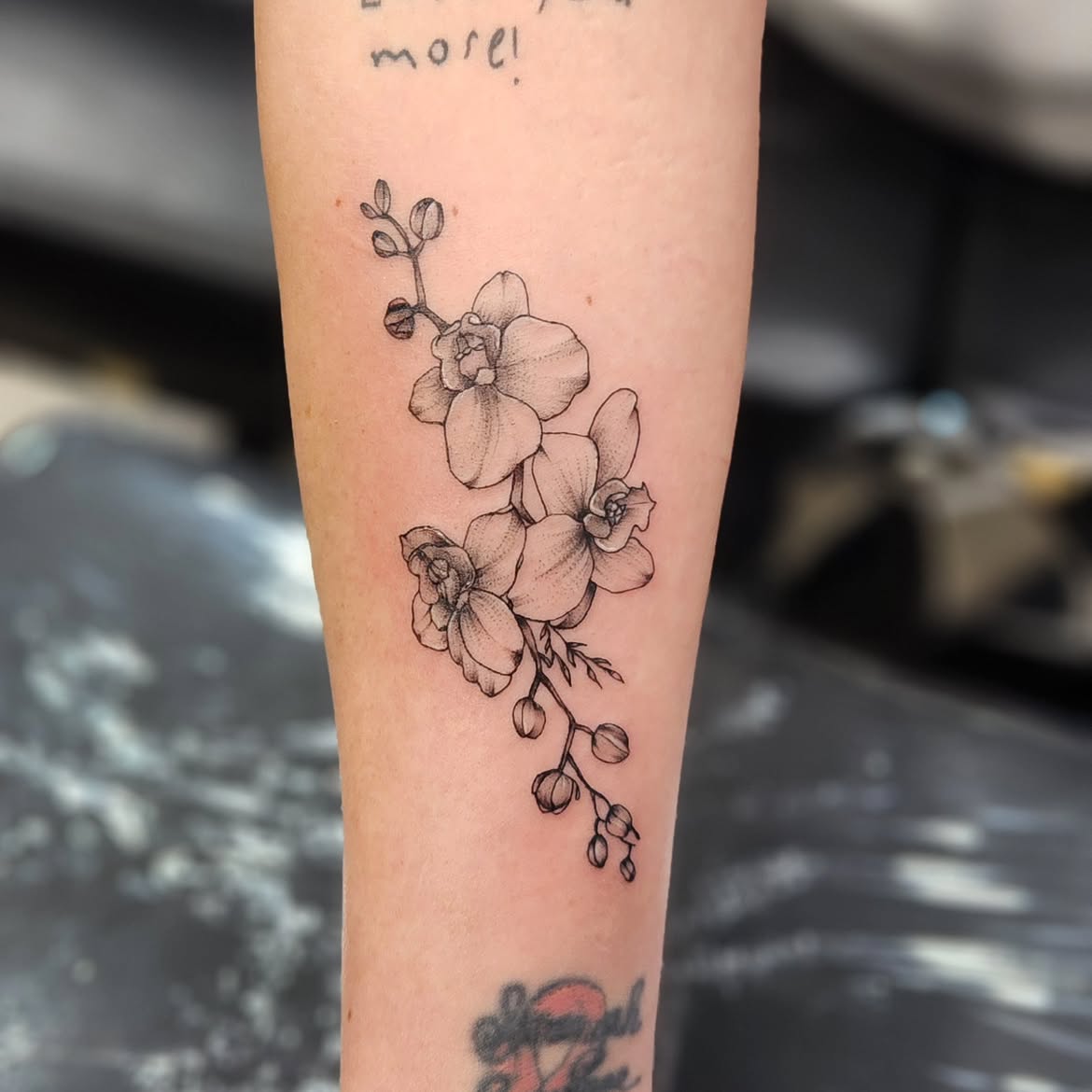 28 Elegant Orchid Tattoo Ideas 2026: Fine Line, Color, Minimalist & Floral Designs
