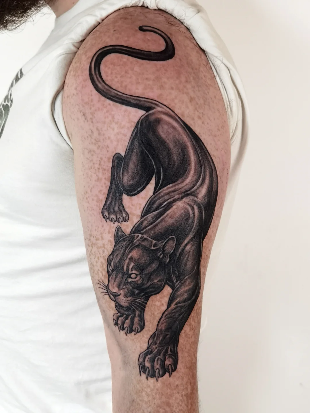 30 Powerful Panther Tattoo Ideas 2026: Traditional, Realistic & Bold Designs