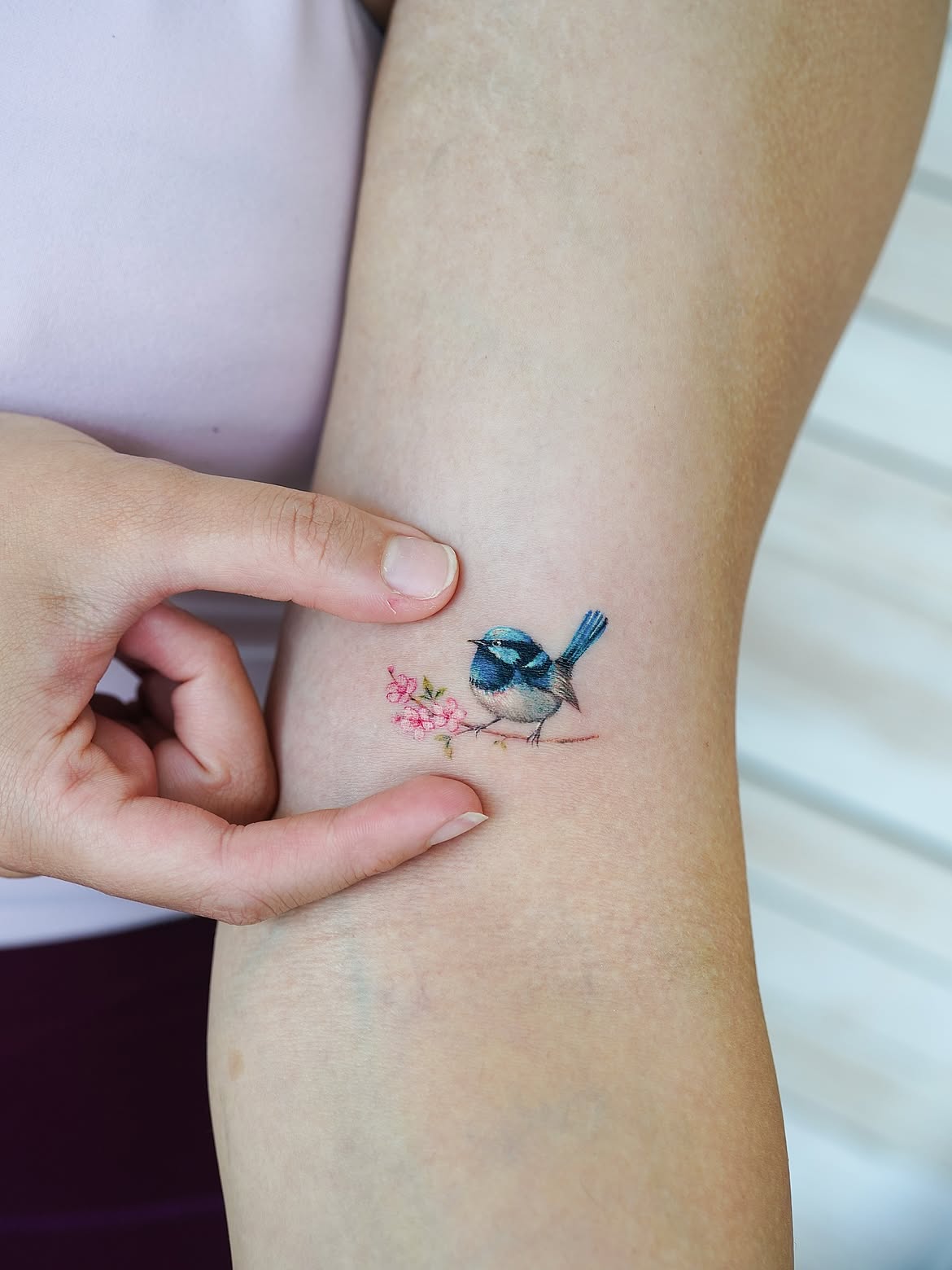 29 Bird Tattoo Ideas 2026: Beautiful Designs, Meaningful Symbols and Modern Inspiration