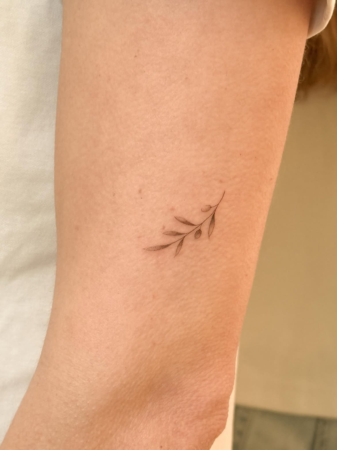31 Olive Branch Tattoo Ideas 2026: Fine Line, Dainty and Meaningful Designs