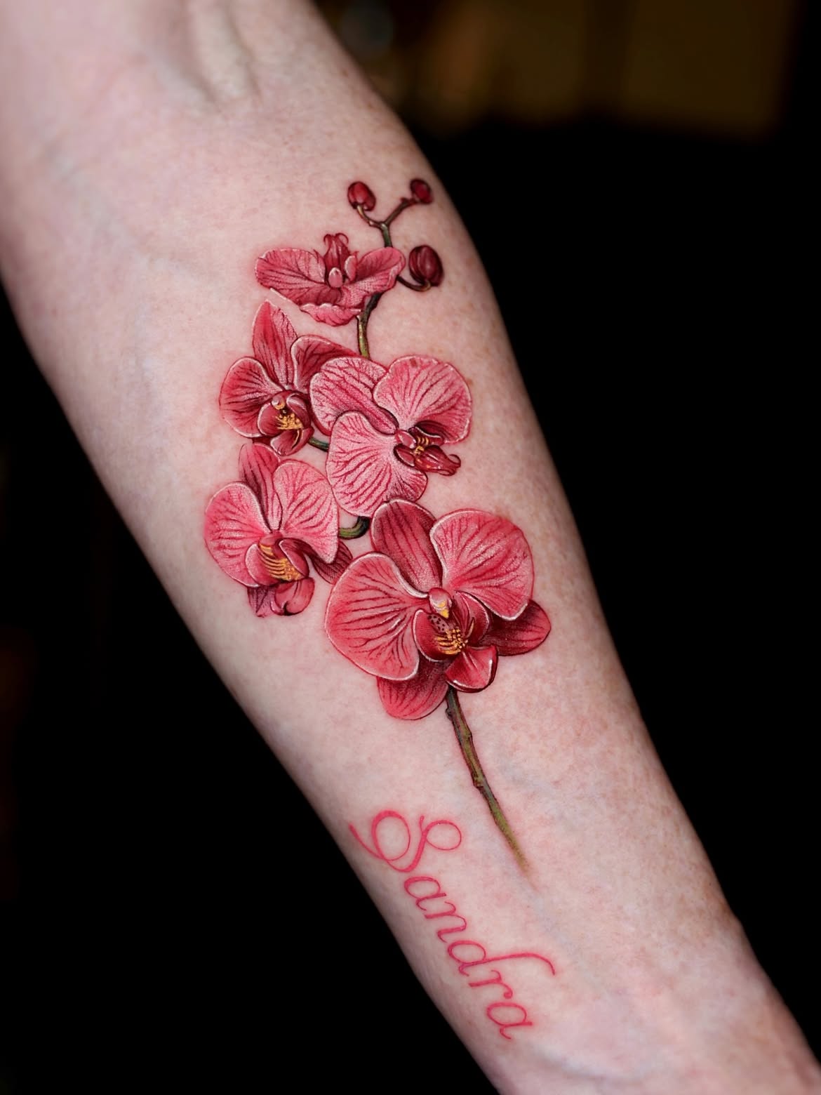 28 Elegant Orchid Tattoo Ideas 2026: Fine Line, Color, Minimalist & Floral Designs