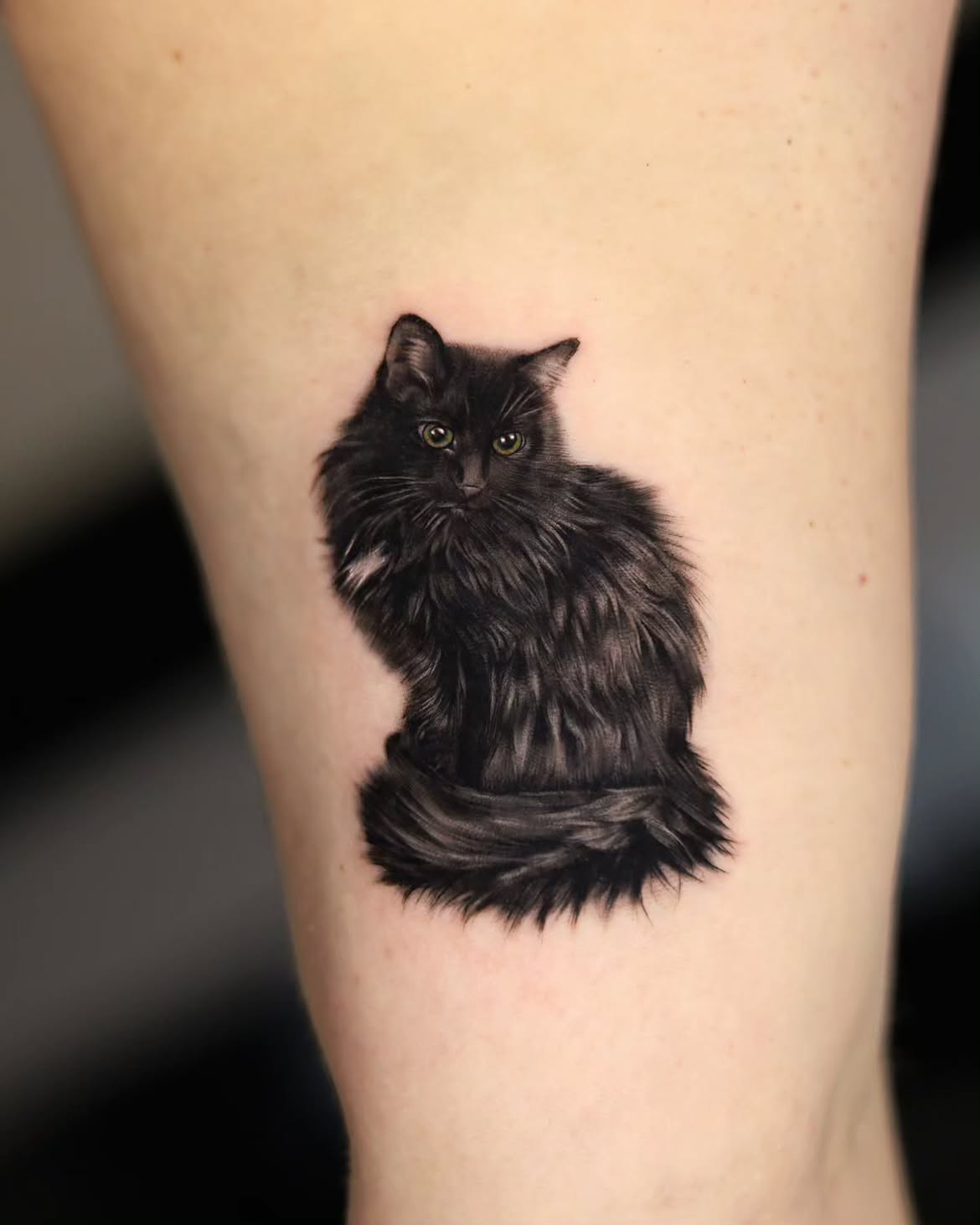27 Black Cat Tattoo Ideas 2026: Playful, Minimalist and Mysterious Designs