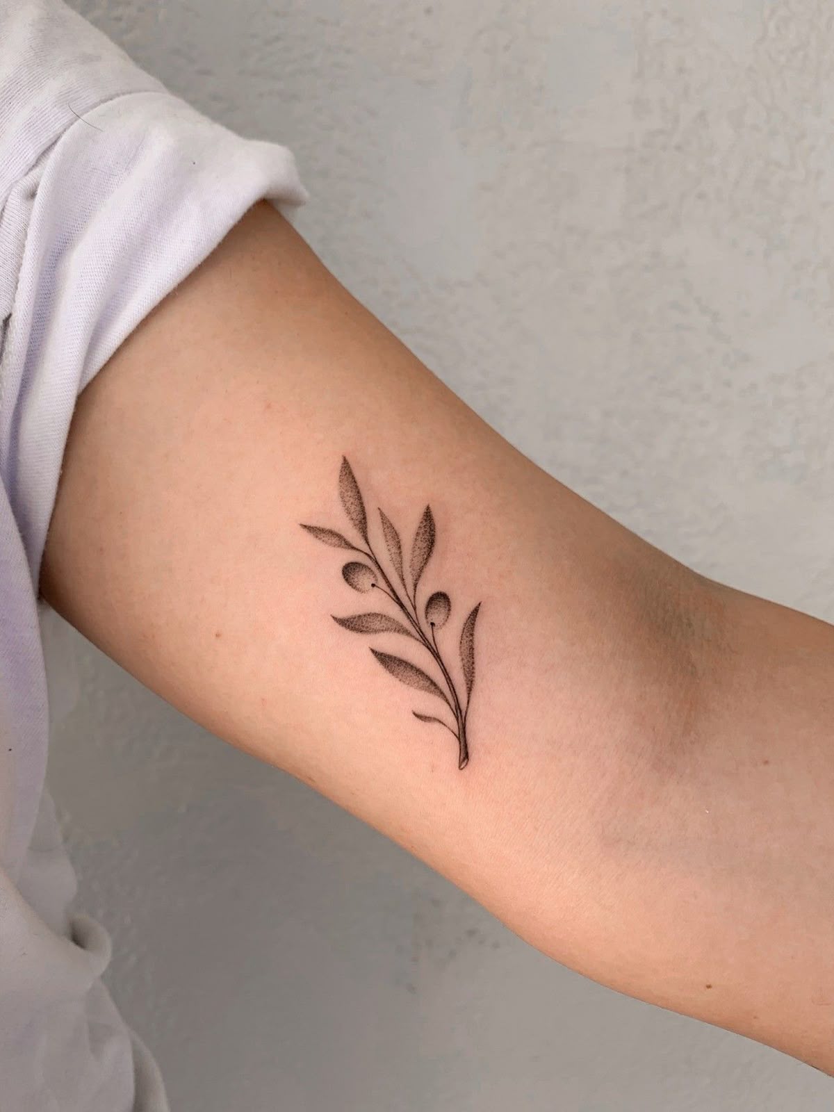31 Olive Branch Tattoo Ideas 2026: Fine Line, Dainty and Meaningful Designs