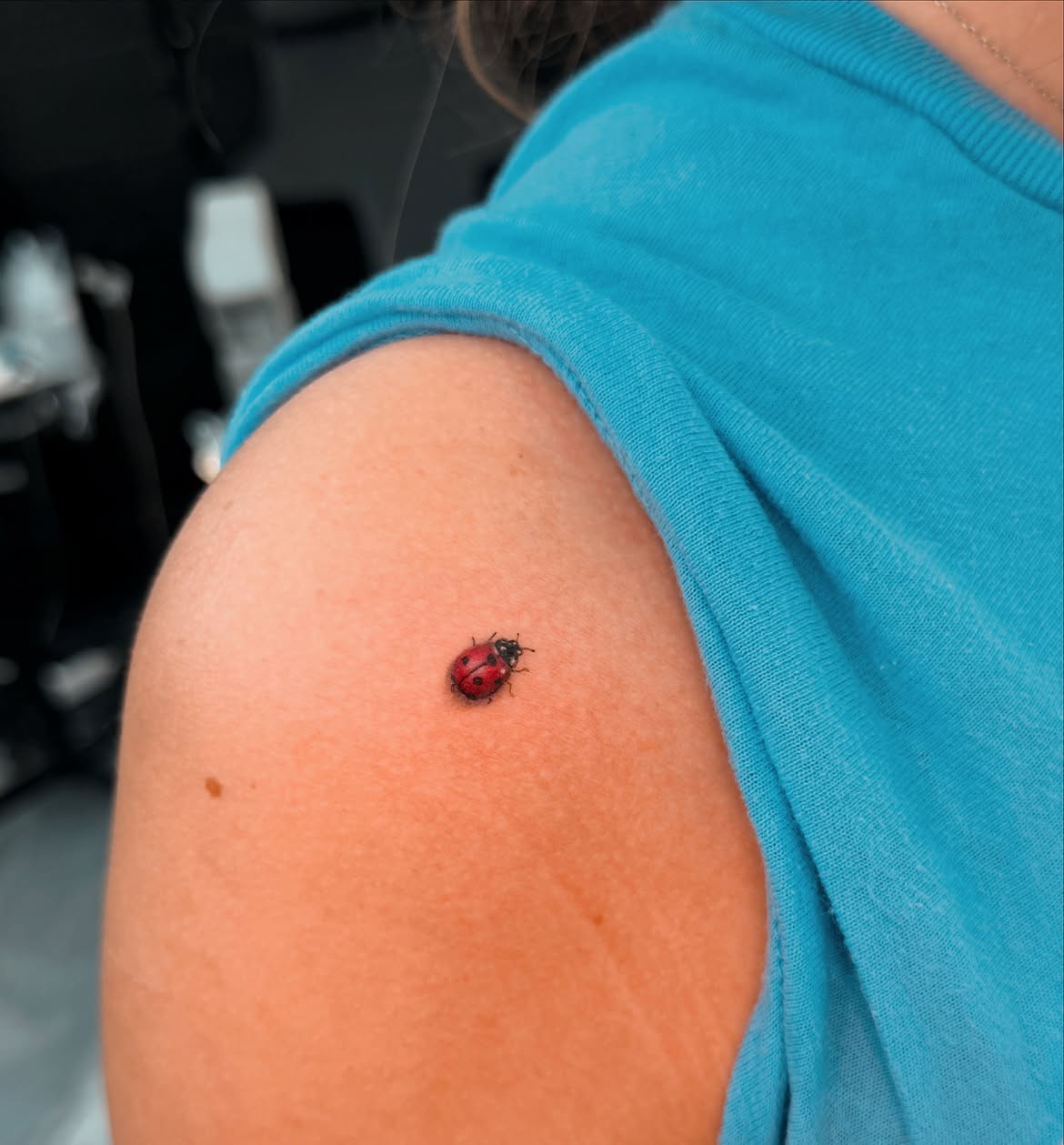 30 Ladybug Tattoo Ideas 2026: Tiny, Realistic and Creative Designs