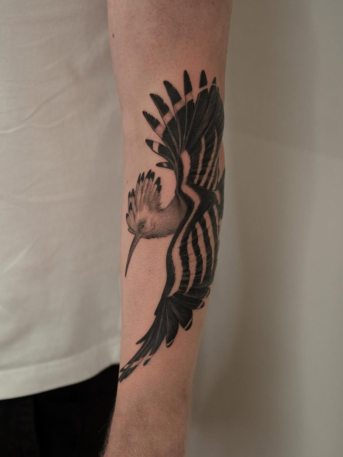 29 Bird Tattoo Ideas 2026: Beautiful Designs, Meaningful Symbols and Modern Inspiration