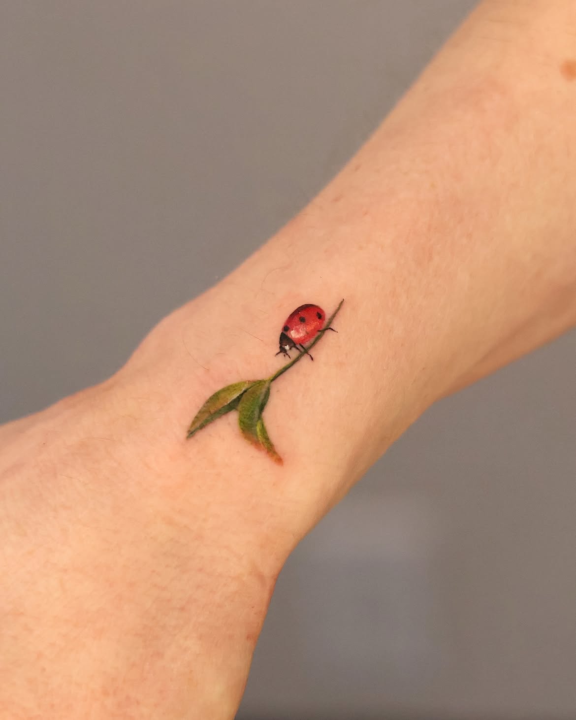 30 Ladybug Tattoo Ideas 2026: Tiny, Realistic and Creative Designs