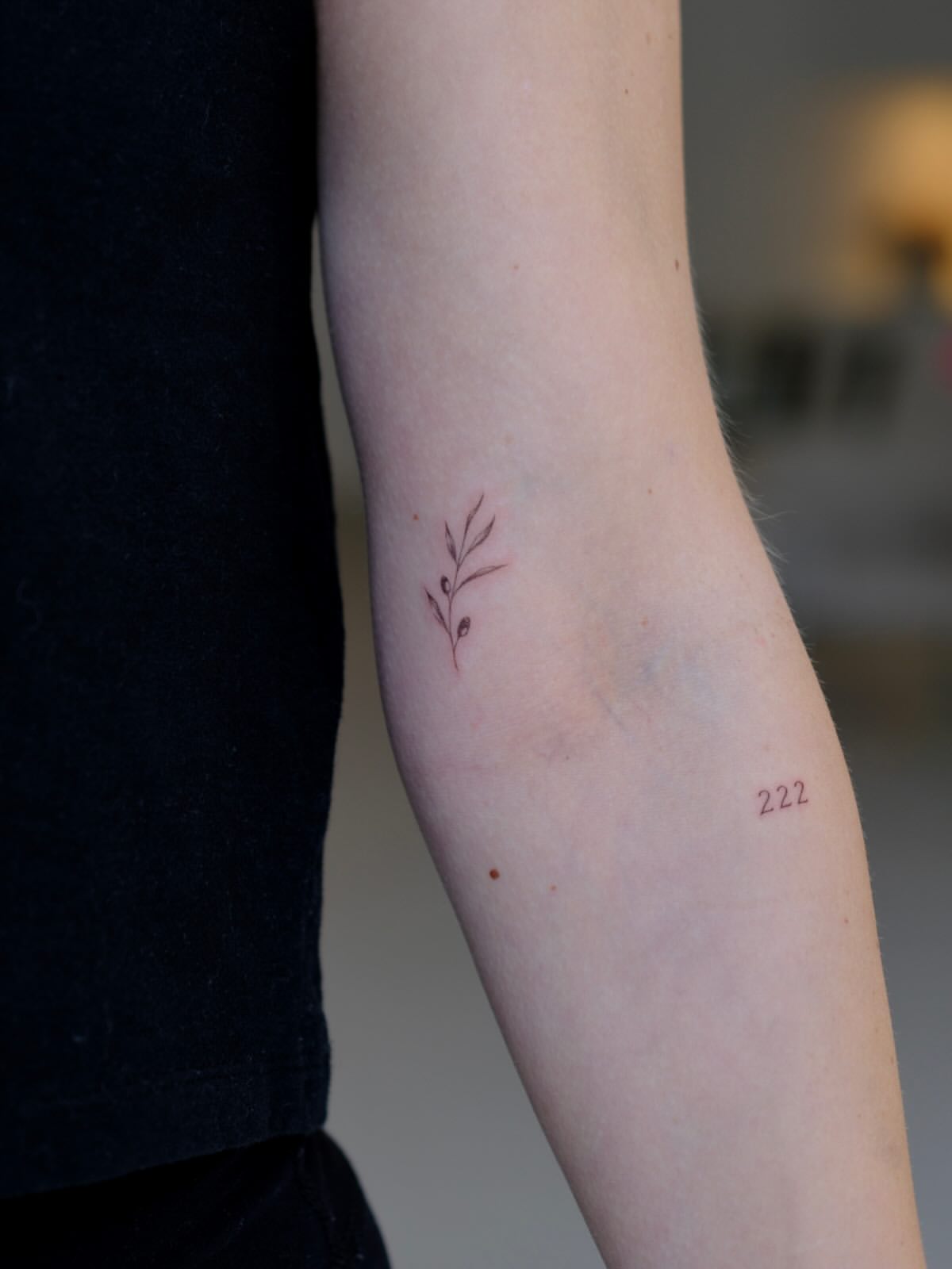 31 Olive Branch Tattoo Ideas 2026: Fine Line, Dainty and Meaningful Designs