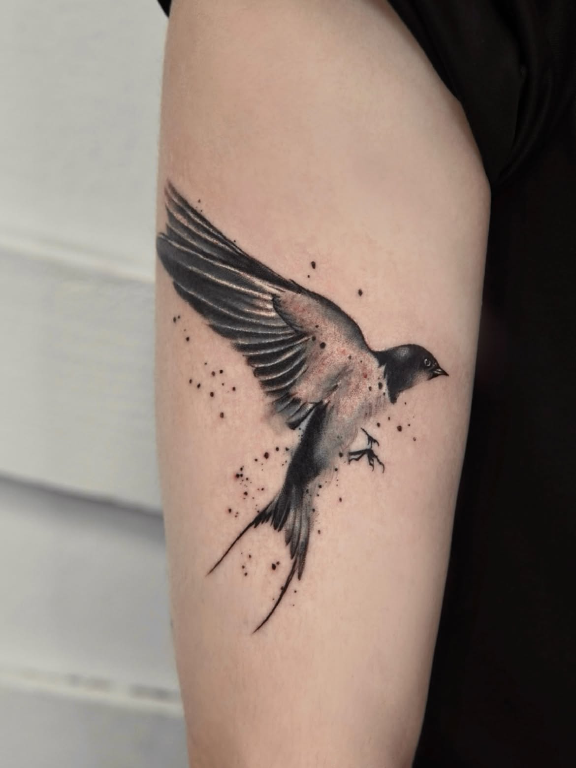 28 Swallow Tattoo Ideas 2026: Elegant Designs, Symbolism and Placement Inspiration
