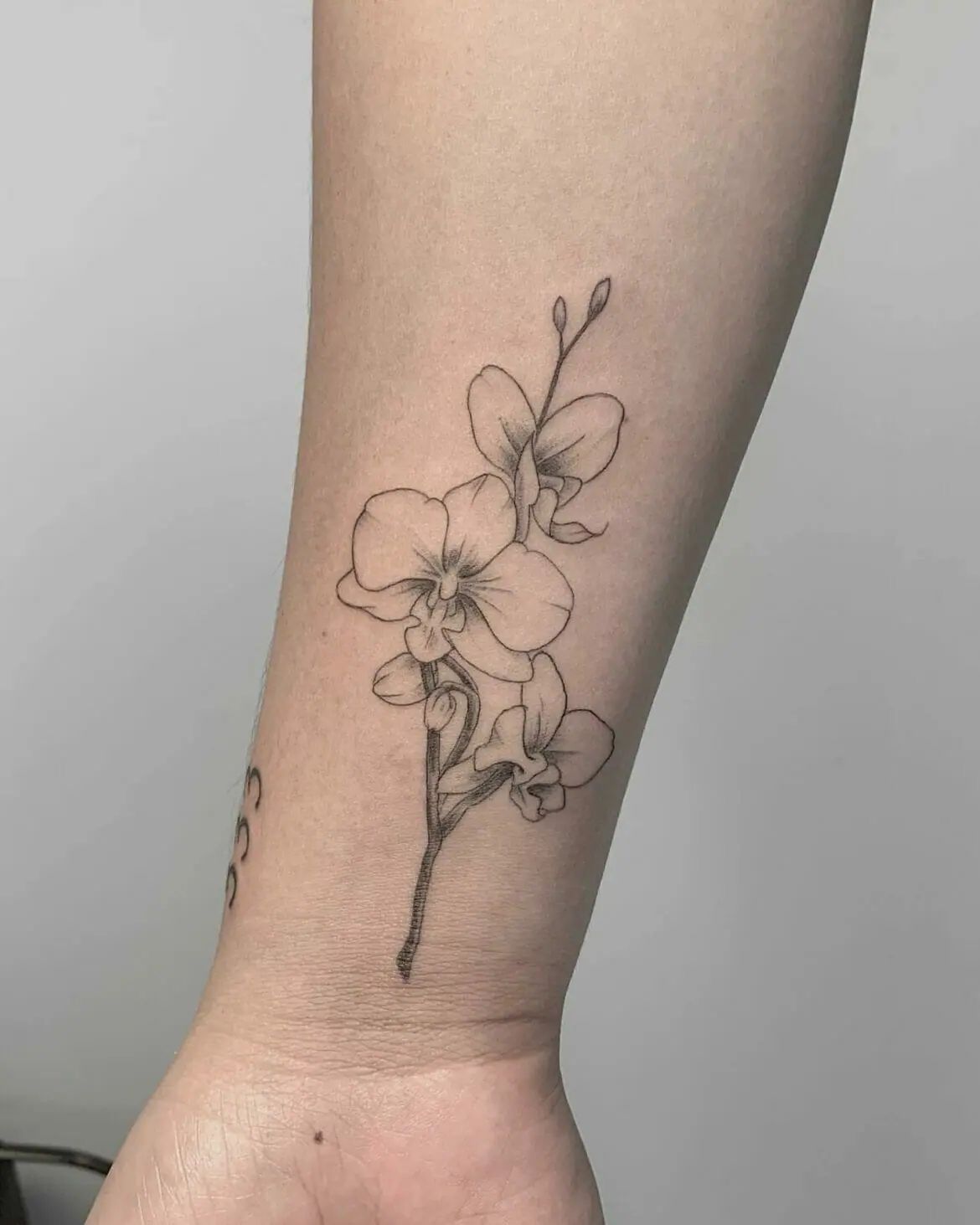 28 Elegant Orchid Tattoo Ideas 2026: Fine Line, Color, Minimalist & Floral Designs