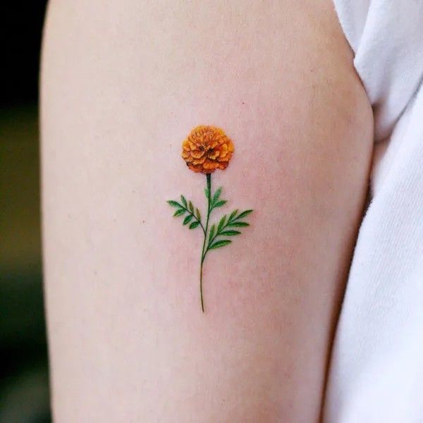 30 Marigold Tattoo Ideas 2026: Beautiful Floral Designs Full of Color and Meaning