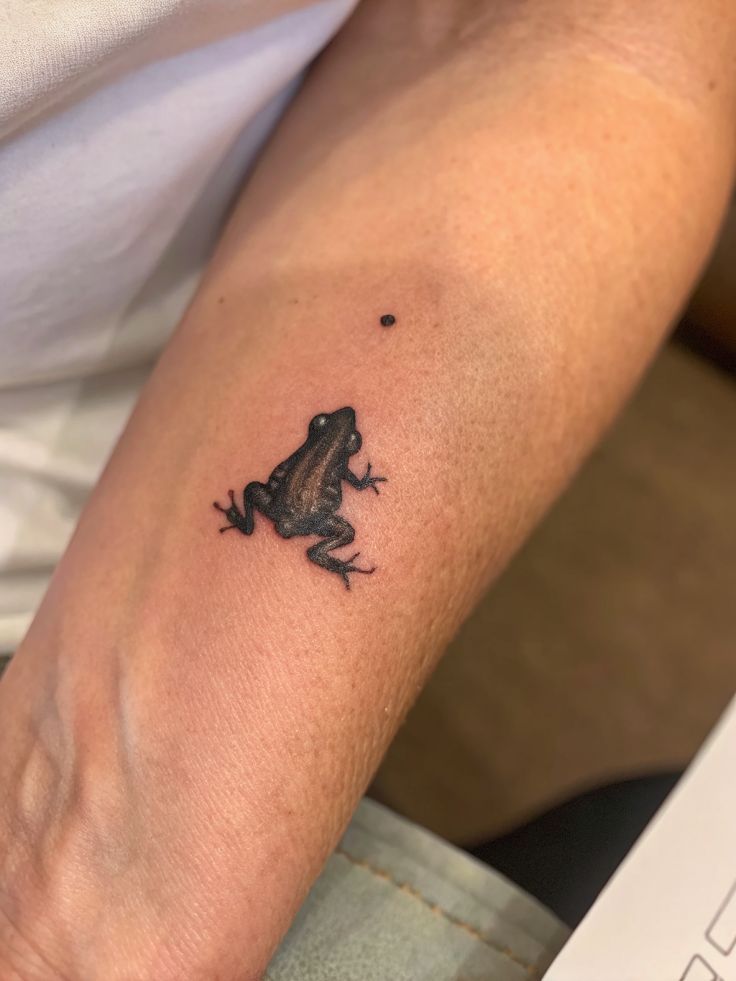 28 Frog Tattoo Ideas: Creative Designs From Tiny Frogs to Bold Tropical Art