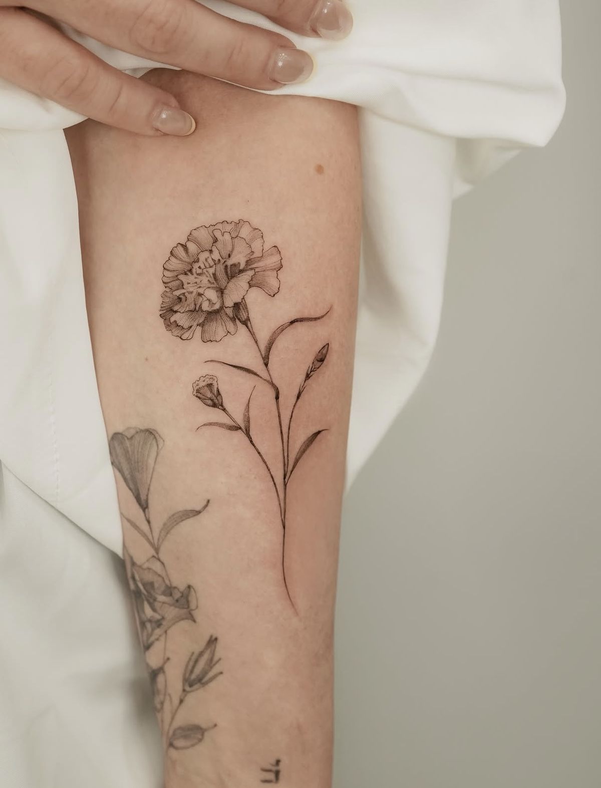 28 Carnation Tattoo Ideas 2026: Delicate Florals, Fine Lines, and Rich Red Ink