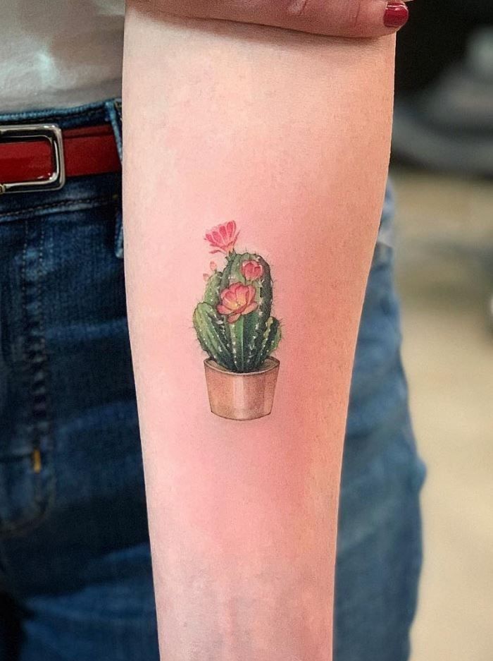27 Cactus Tattoo Ideas 2026: Desert-Inspired Designs from Fine Line to Color