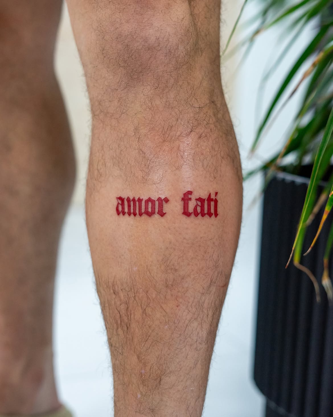 29 Amor Fati Tattoo Ideas: Meaningful Designs for Loving the Life You&rsquo;re Given