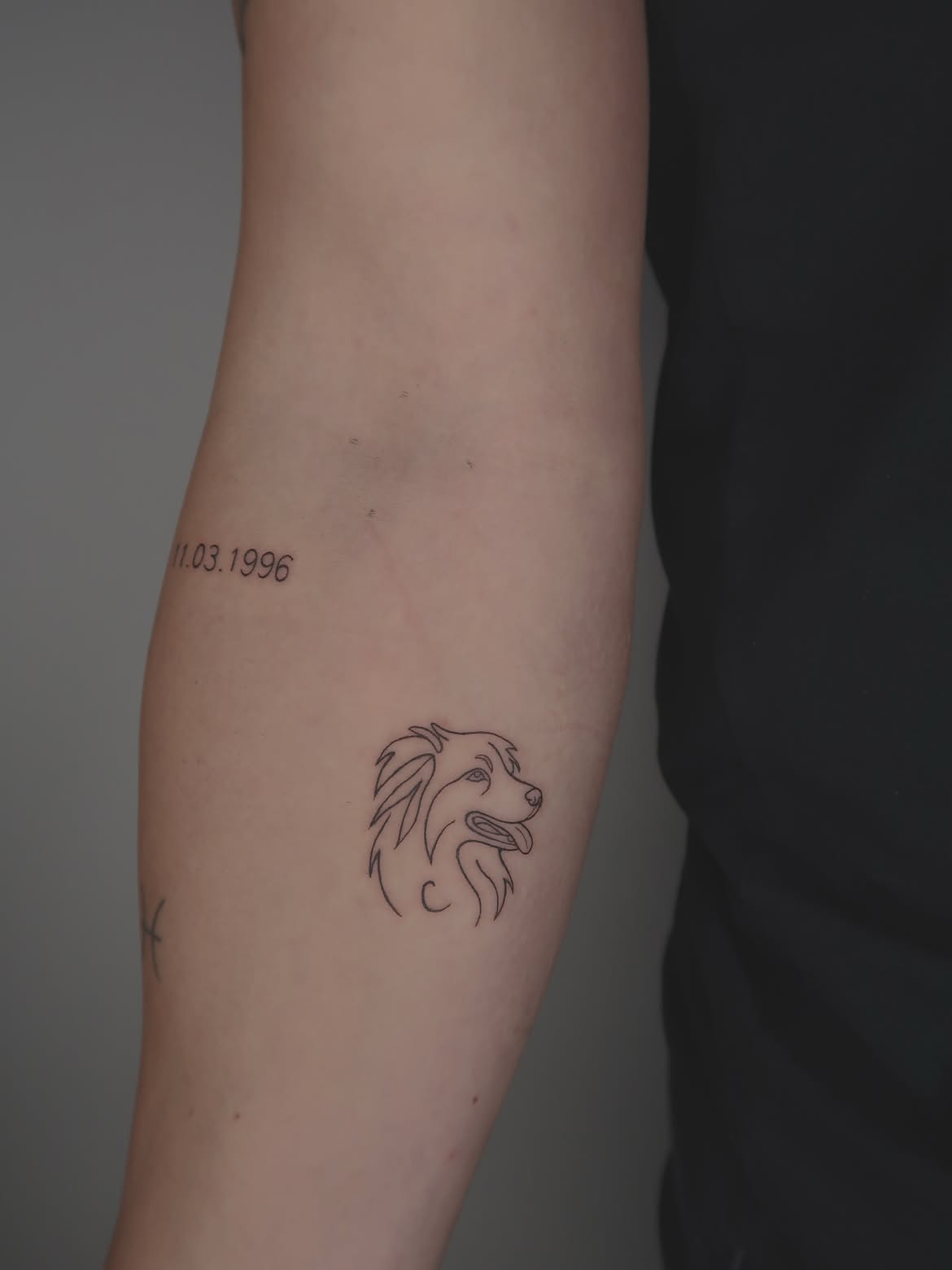 27 Dog Tattoo Ideas: Meaningful Designs That Keep a Favorite Companion Close