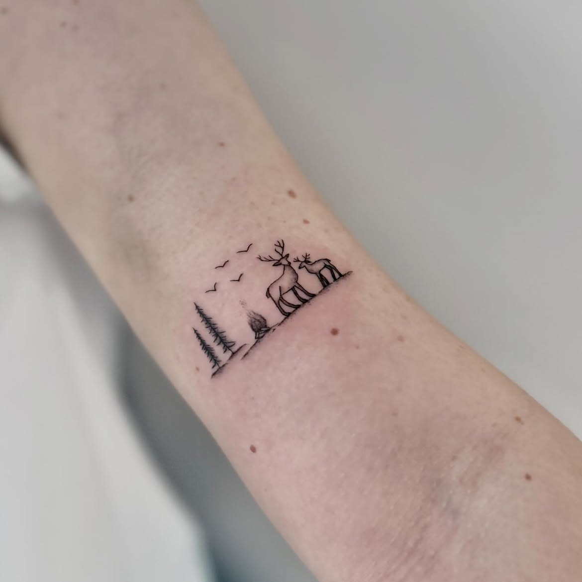 28 Forest Tattoo Ideas: From Misty Pine Landscapes to Magical Woodland Designs